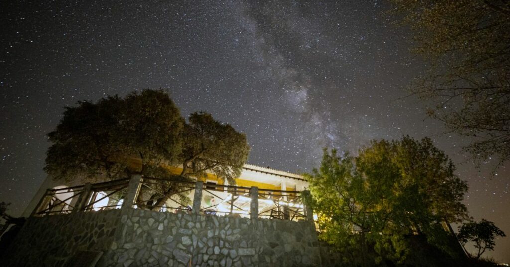 El Geco Verde Cielo Oscuro